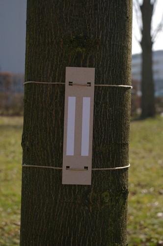 Baum 2  Ansicht 1  Hängung 1  8.3.14 ca. 12.00