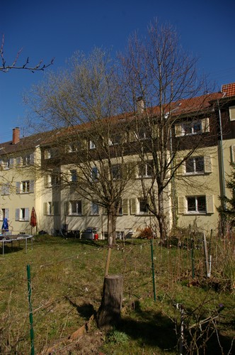 Baum 4 - 5  Ansicht 2