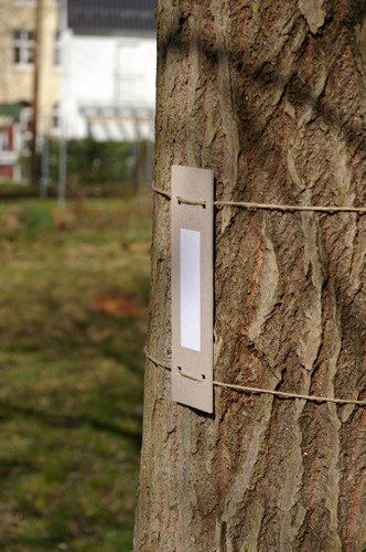 Baum 4  Ansicht 5
