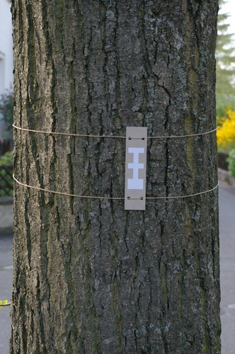 Baum 8  Ansicht 2