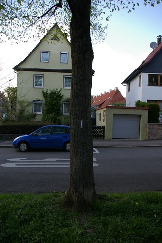 Baum 10  Ansicht 3