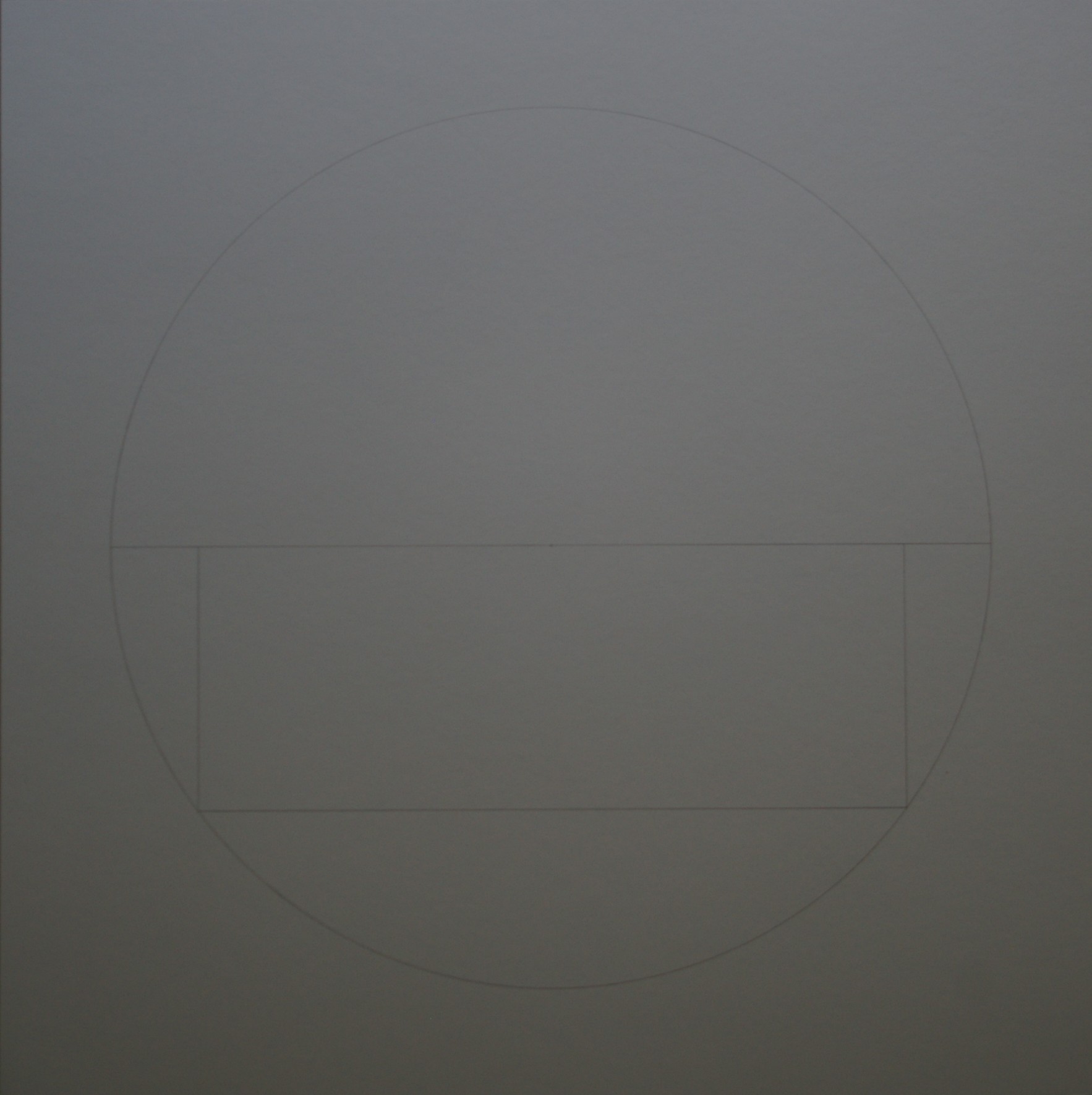 Mangold 3 . 50 x 50 cm