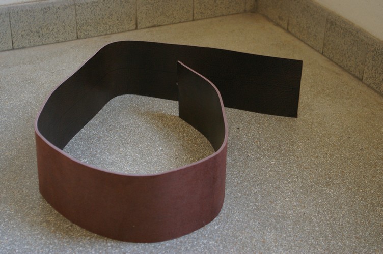 Schlange Zustand 5