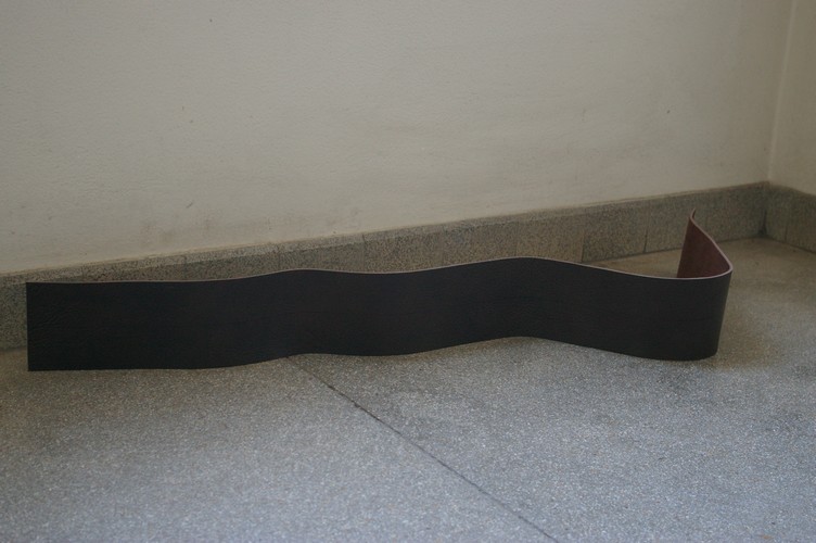 Schlange Zustand 8 Ansicht 2