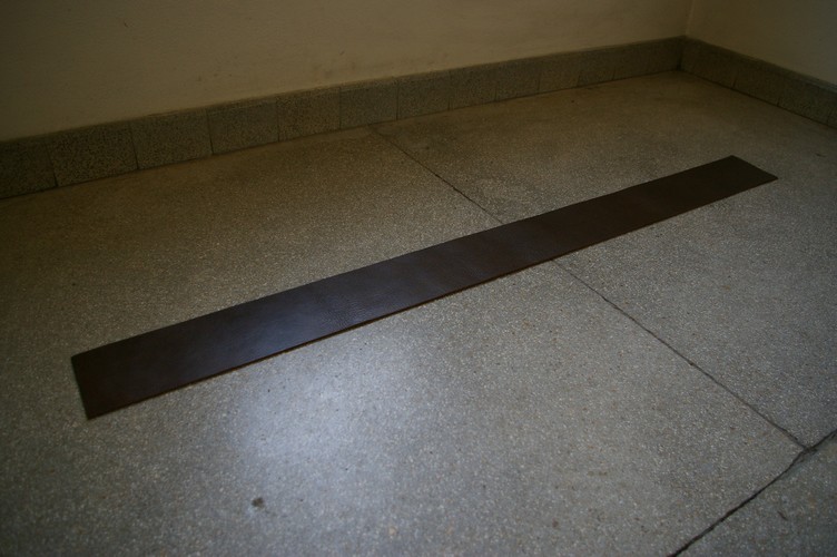 Schlange flachgelegt