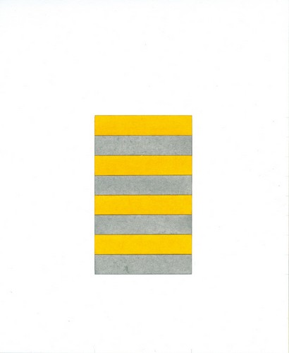 Zebra 23