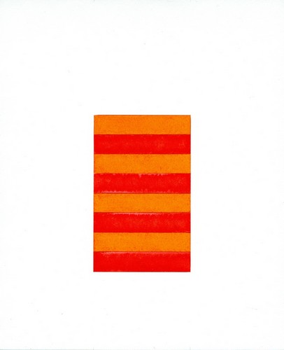 Zebra 27