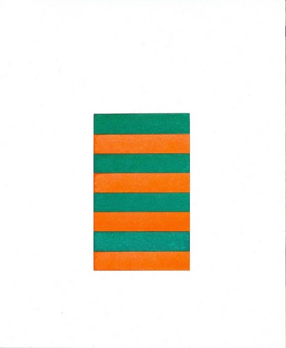Zebra 29