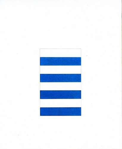 Zebra 8