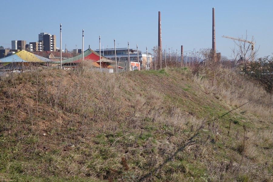 auf-dem-wall-am-14-02-18-12-49-00