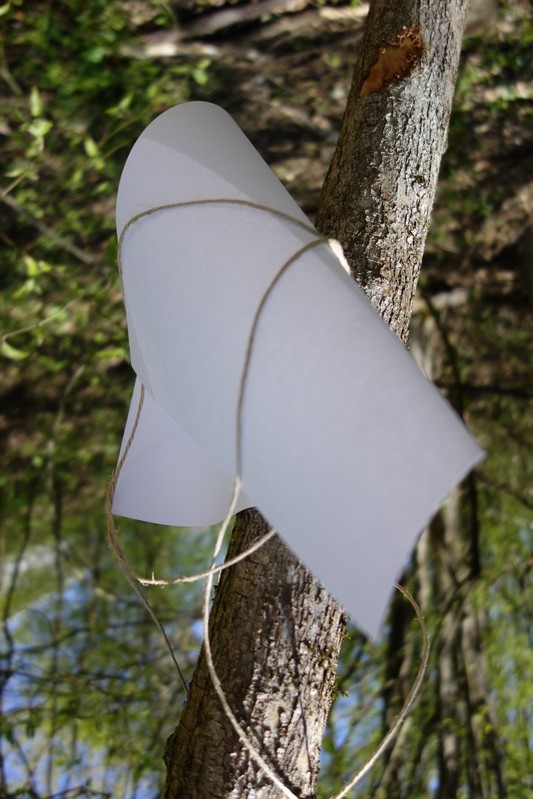 Blatt 28