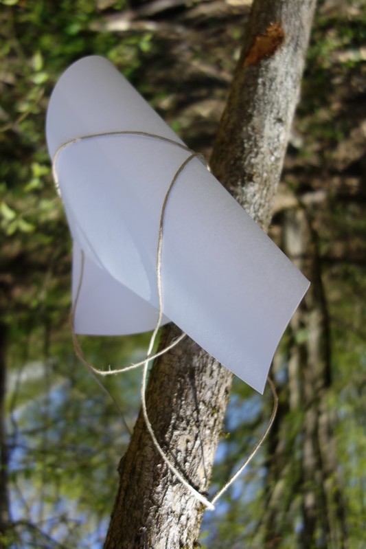Blatt 29