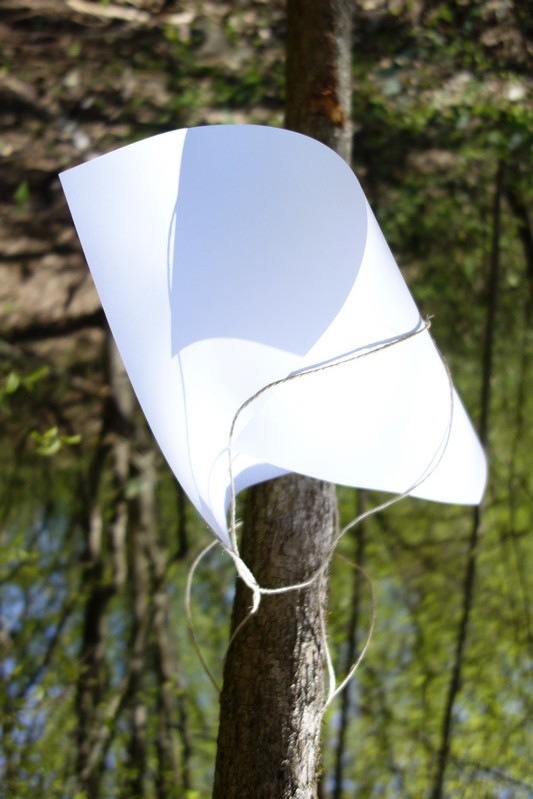 Blatt 32