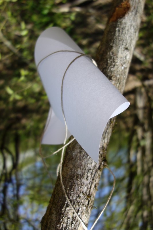 Blatt 33