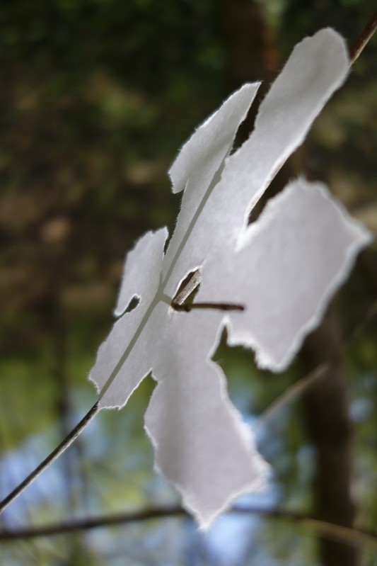 Blatt 42
