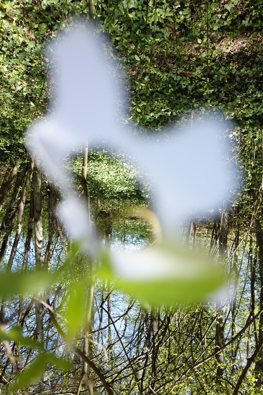 Blatt 46