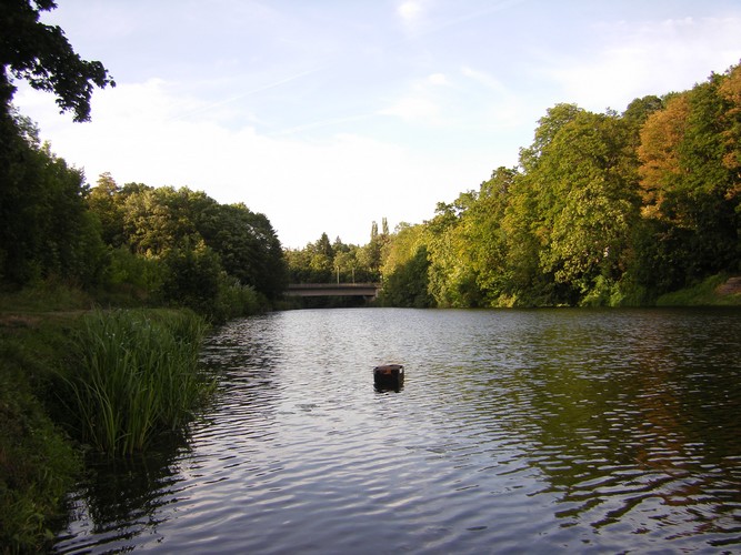 Boot Ansicht 81