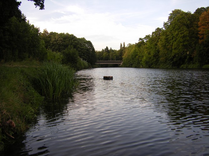 Boot Ansicht 99