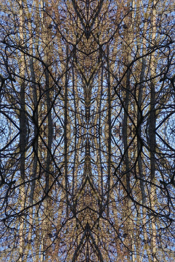 K 10