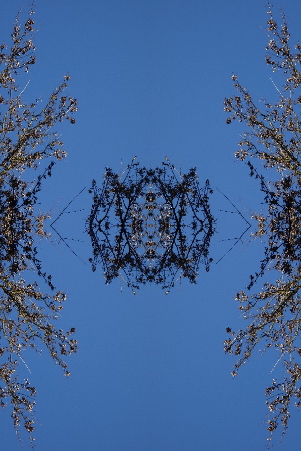 K 48